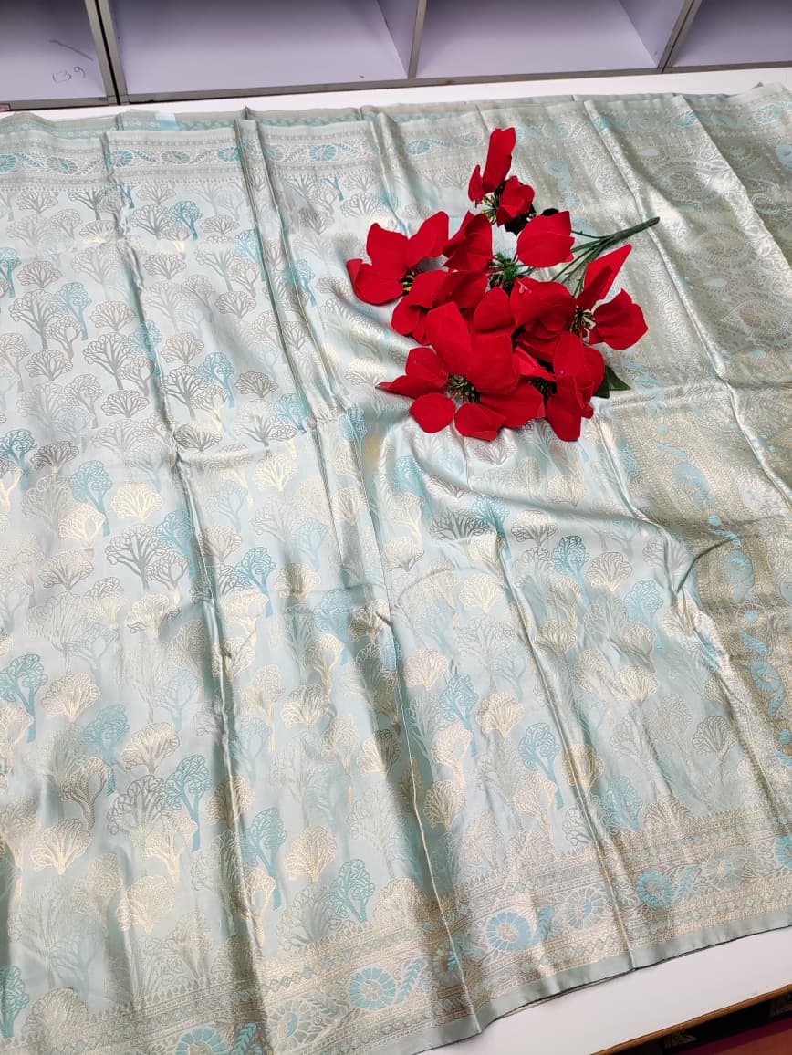 Nangai Saree N22