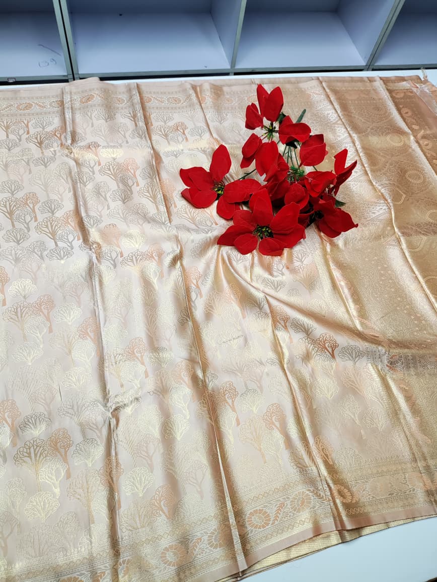 Nangai Saree N20