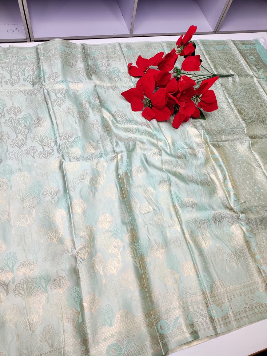 Nangai Saree N19