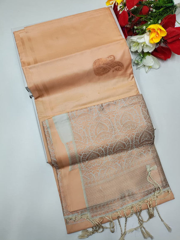 Stock Clearance Saree (B-1) SCK21