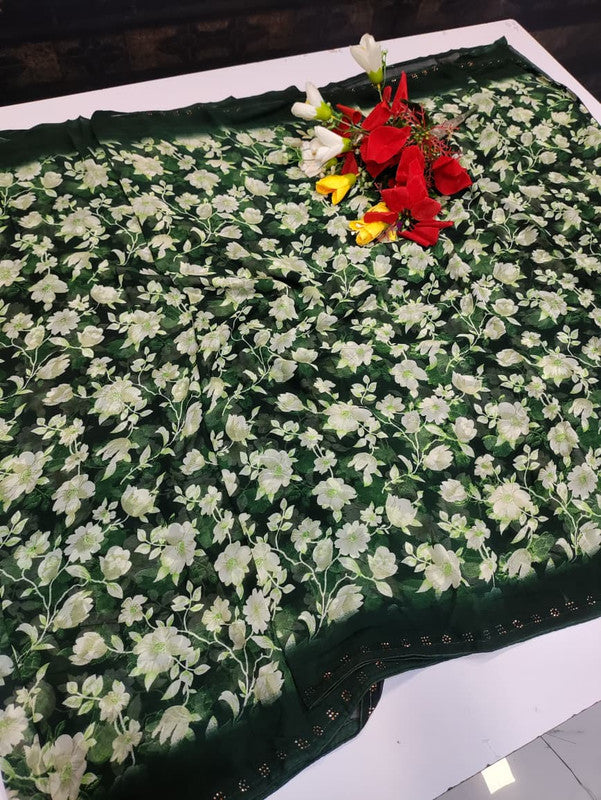 Chiffon Fancy Saree FSS92