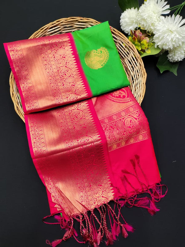 Ramaniyam Luxury Soft Silk Zari Saree for wedding wear with contrast blouse