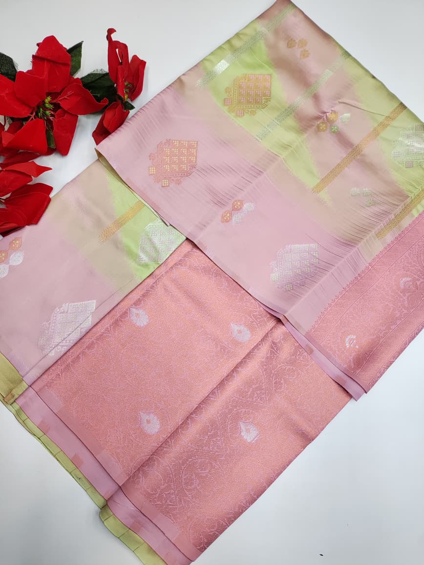 Pochampailli Pavishna PVS11