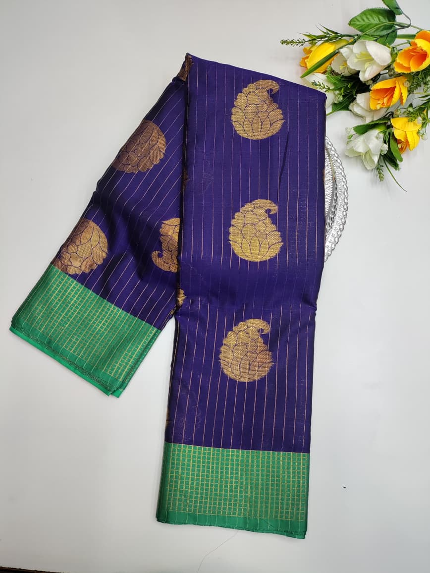 Varanasi Raw Silk VN46