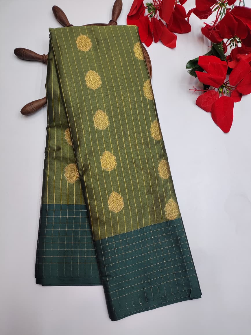 Varanasi Raw Silk VN53