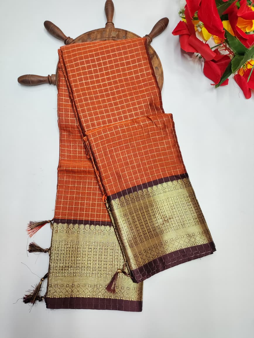 Varanasi Raw Silk VN58