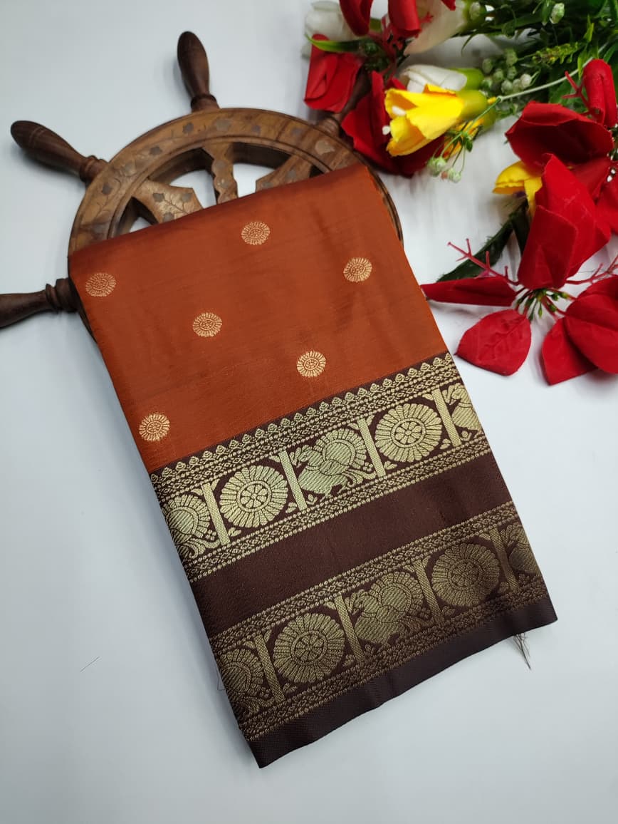 Rust Orange Saree RG50