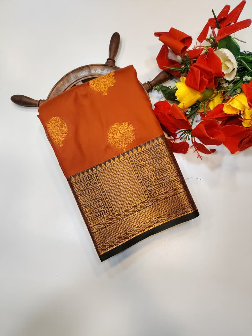 Rust Orange Saree RG54