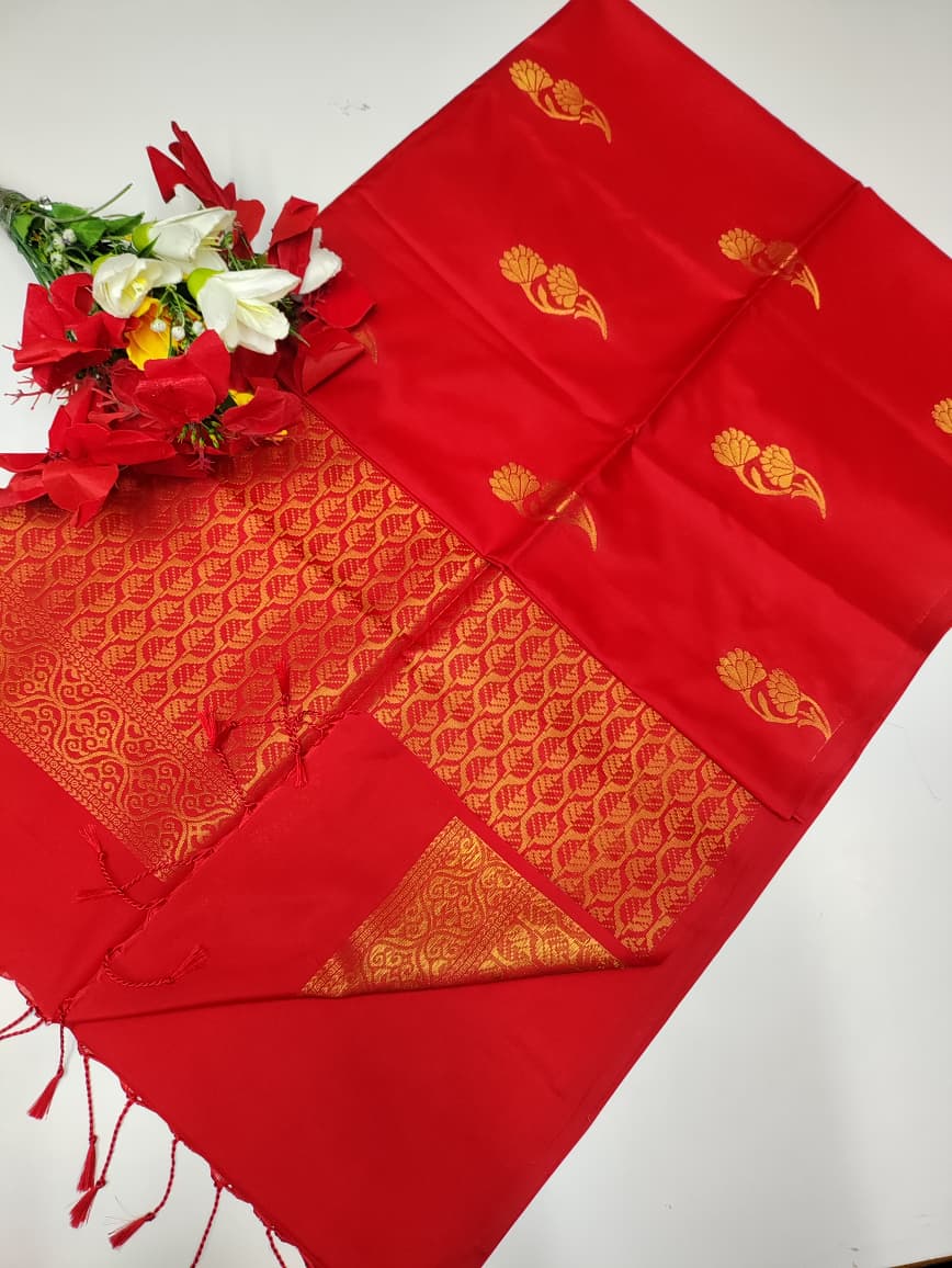 Dharmavaram Soft DMS25