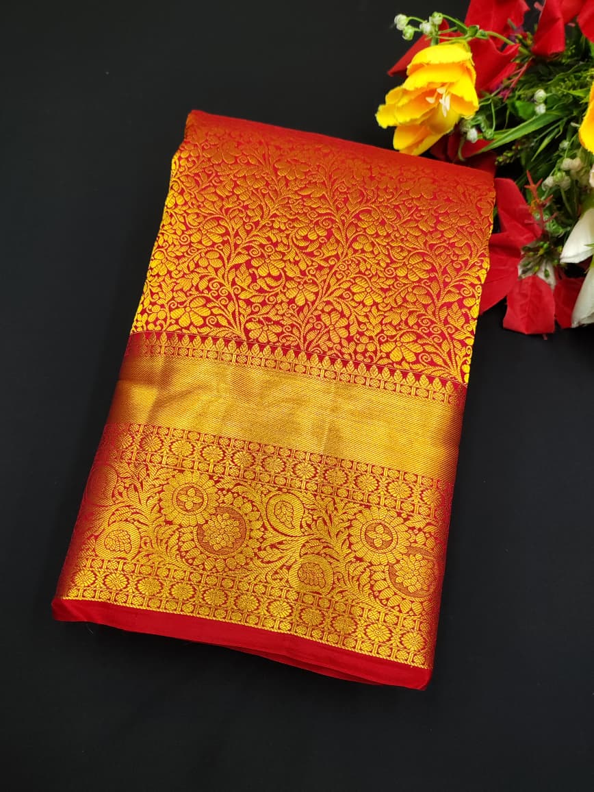Ragavi Pure Pattu Silk E59