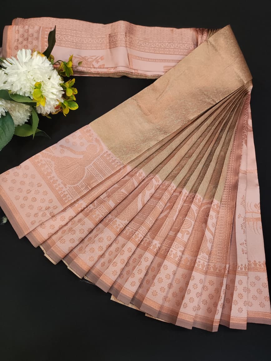 Trending Pavishna Saree | Zari Work | TNP01