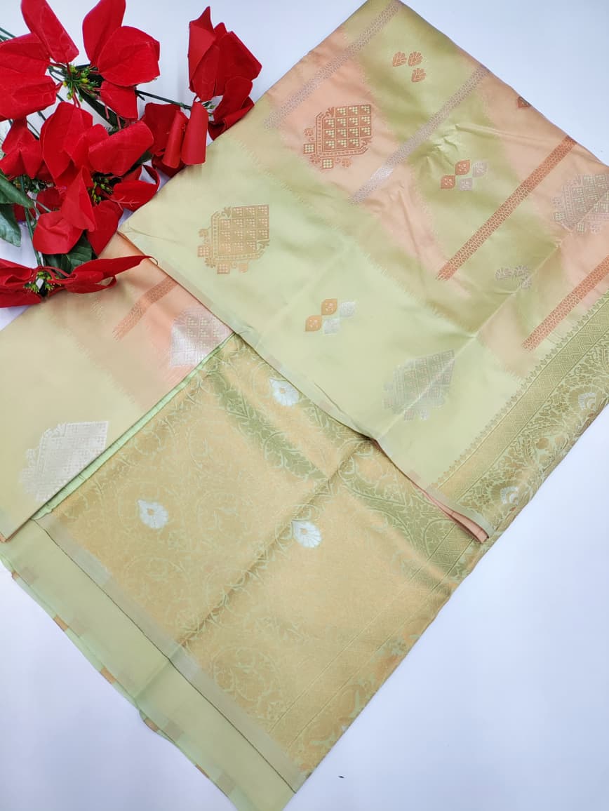 Pochampailli Pavishna PVS04