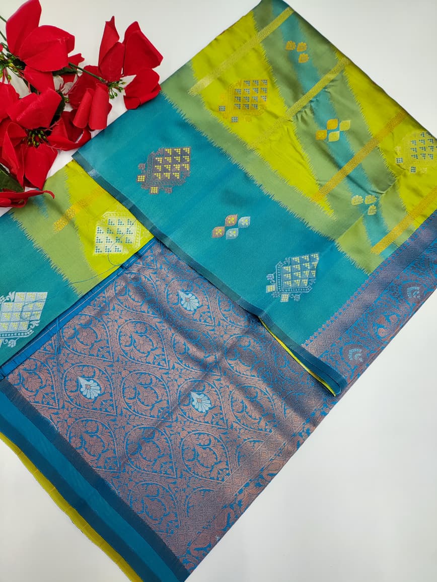 Pochampailli Pavishna PVS01