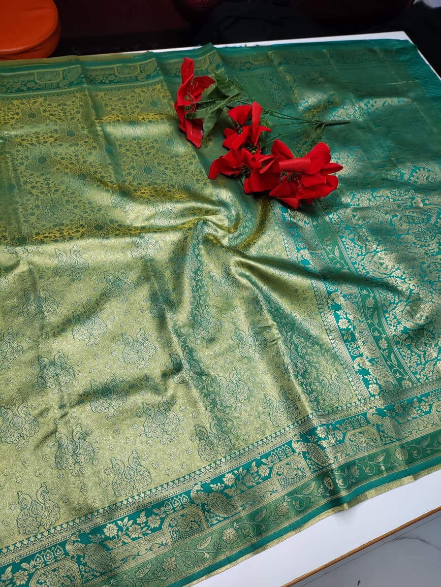 Kanji Tissue Saree KKK04