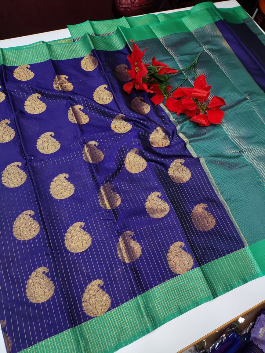 Varanasi Raw Silk VN46