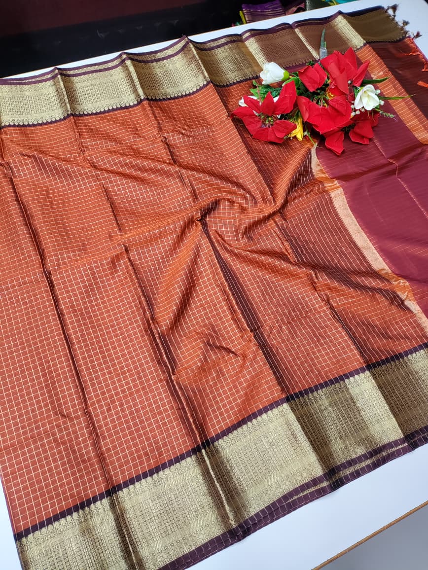 Varanasi Raw Silk VN58