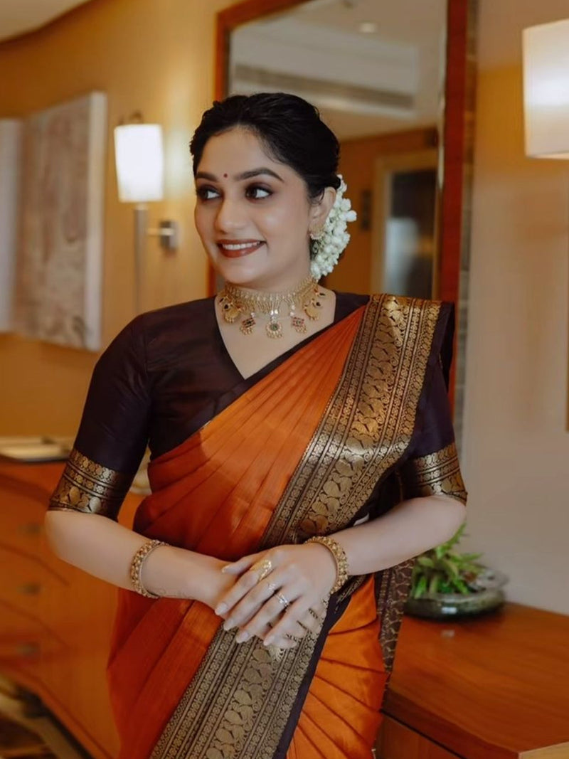Rust Orange Collection saree for women featuring elegant rust orange shades in soft lightweight fabric suitable for weddings office wear and festive occasions