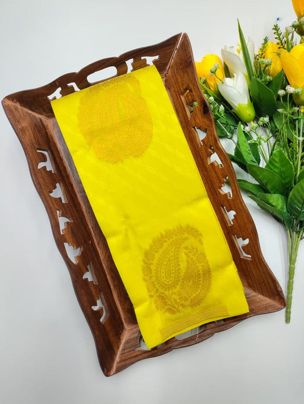 Mini Pavishna Saree