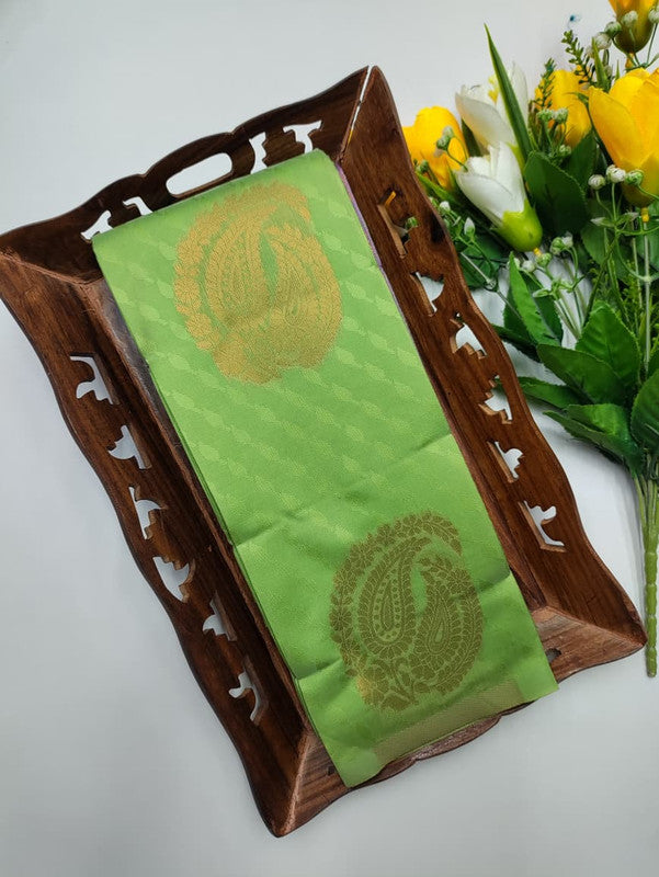 Mini Pavishna Saree