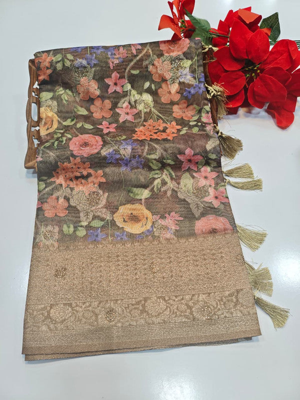 Fancy Saree (Stone)