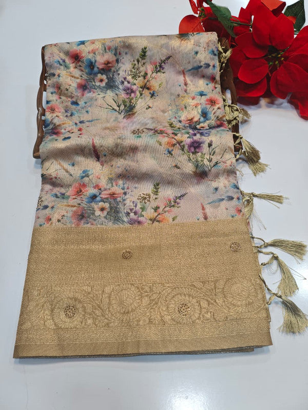 Fancy Saree (Stone)