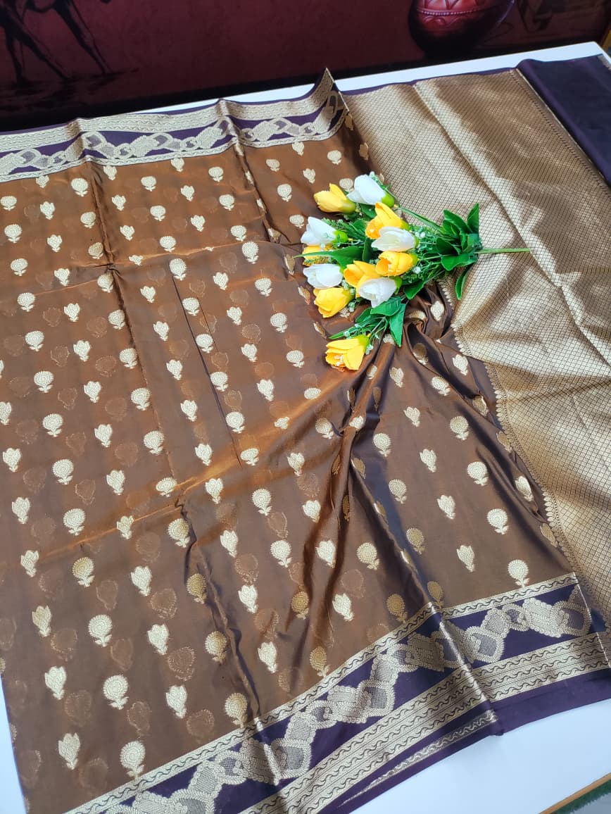 Celebrity Sarees (Diwali Special)