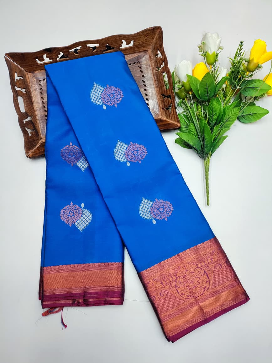 Kanjivaram Pattu Saree