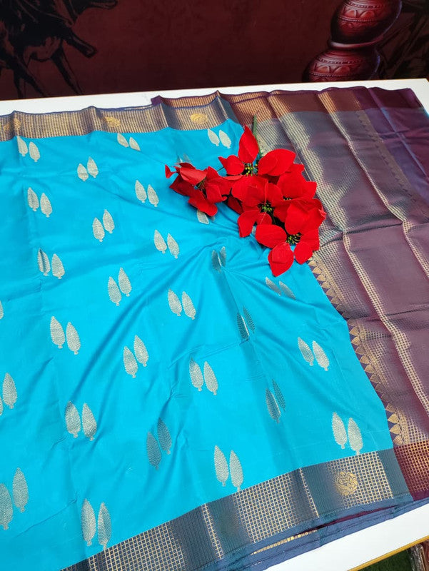 Raw Silk+(Diwali Gift)  RW18