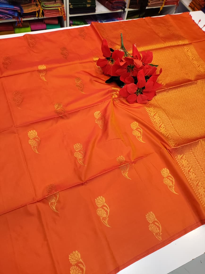 Dharmavaram Soft DMS19