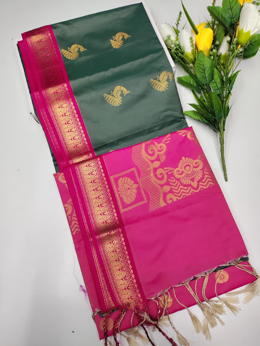 Korvai Border Saree KR99