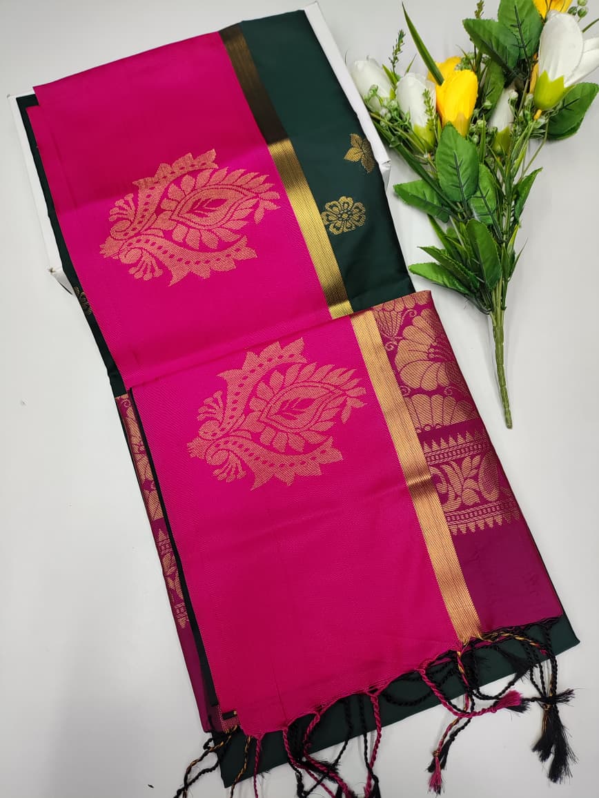 Korvai Border Saree KR81