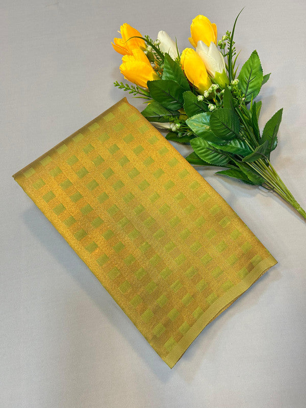 Fancy Checked Saree