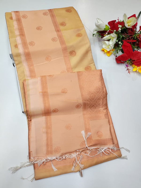 Stock Clearance Saree (B-3) SCK161