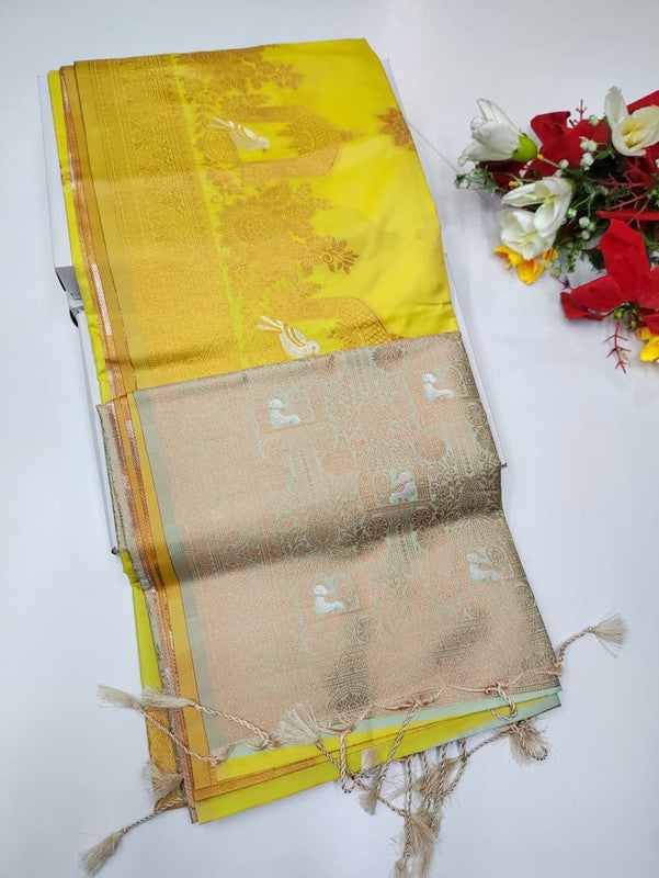 Stock Clearance Saree (B-3) SCK163