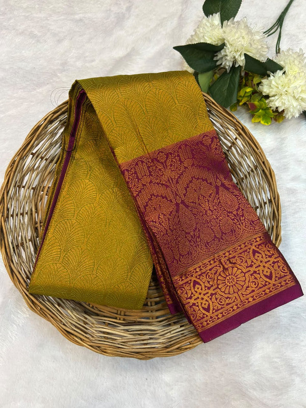 Offer Rapier Saree for Women in Traditional Indian Style