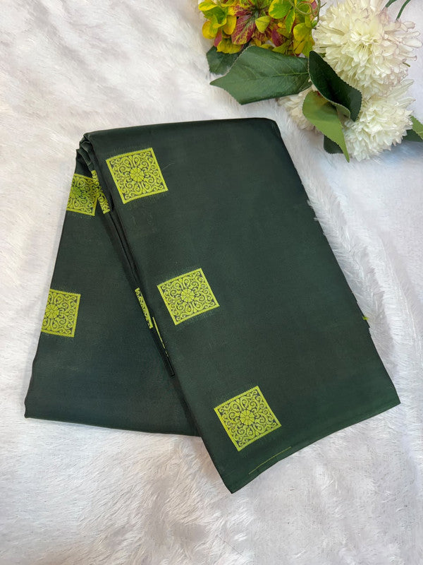 Pure Silk | Wedding Saree Border Less | M245