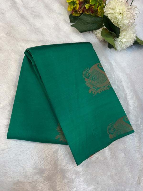 Pure Silk | Wedding Saree Border Less | M250