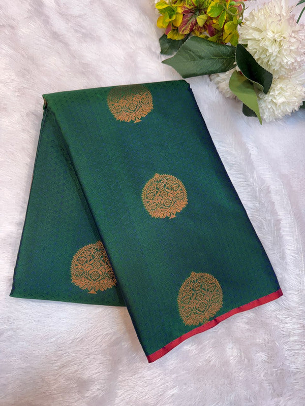 Pure Silk | Wedding Saree Border Less | M252