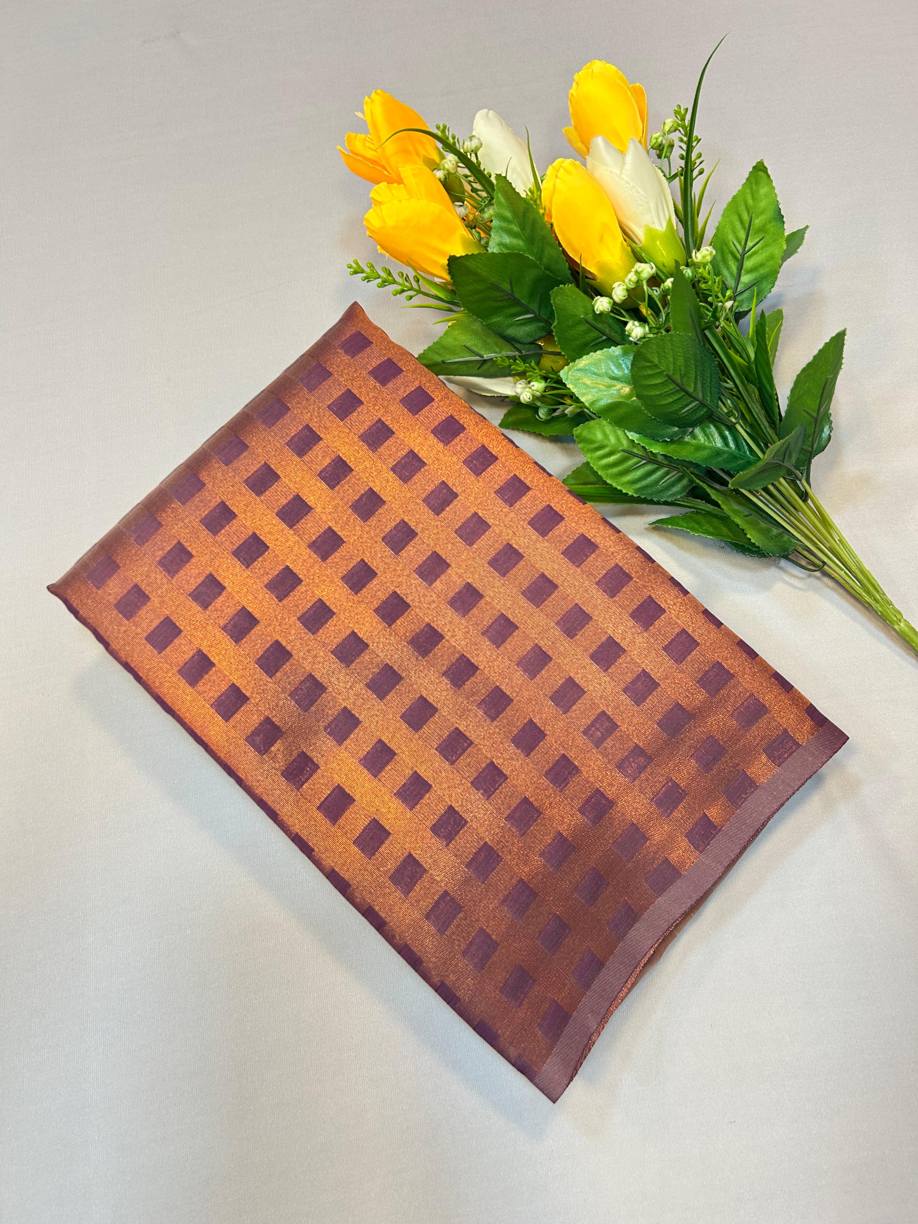 Fancy Checked Saree