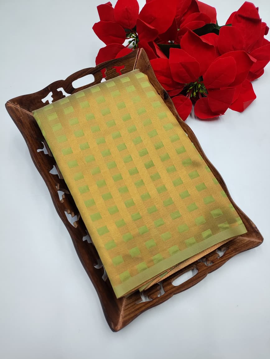 Fancy Checked Saree