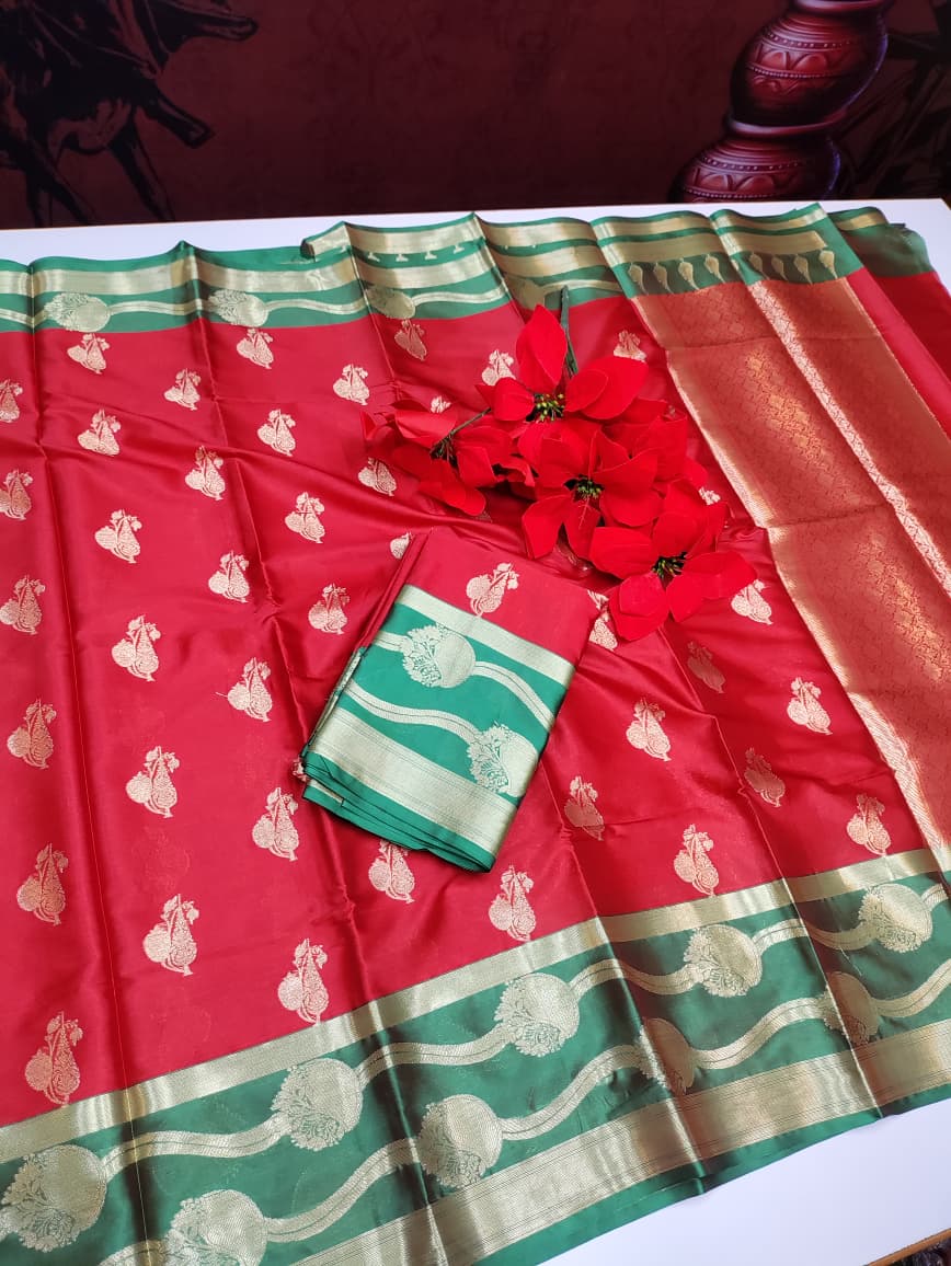 Raw Silk+(Diwali Gift)  RW19