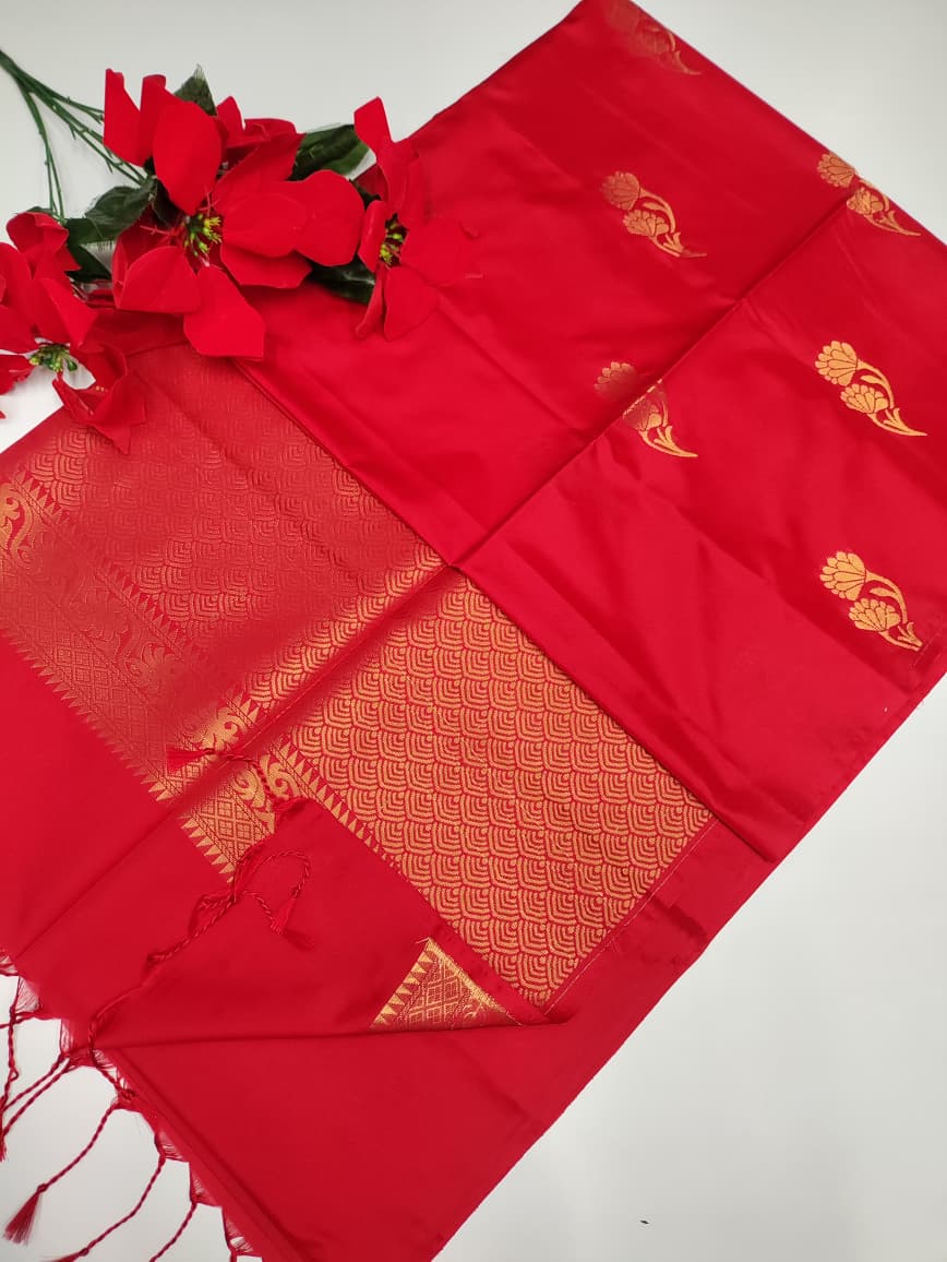 Dharmavaram Soft DMS02