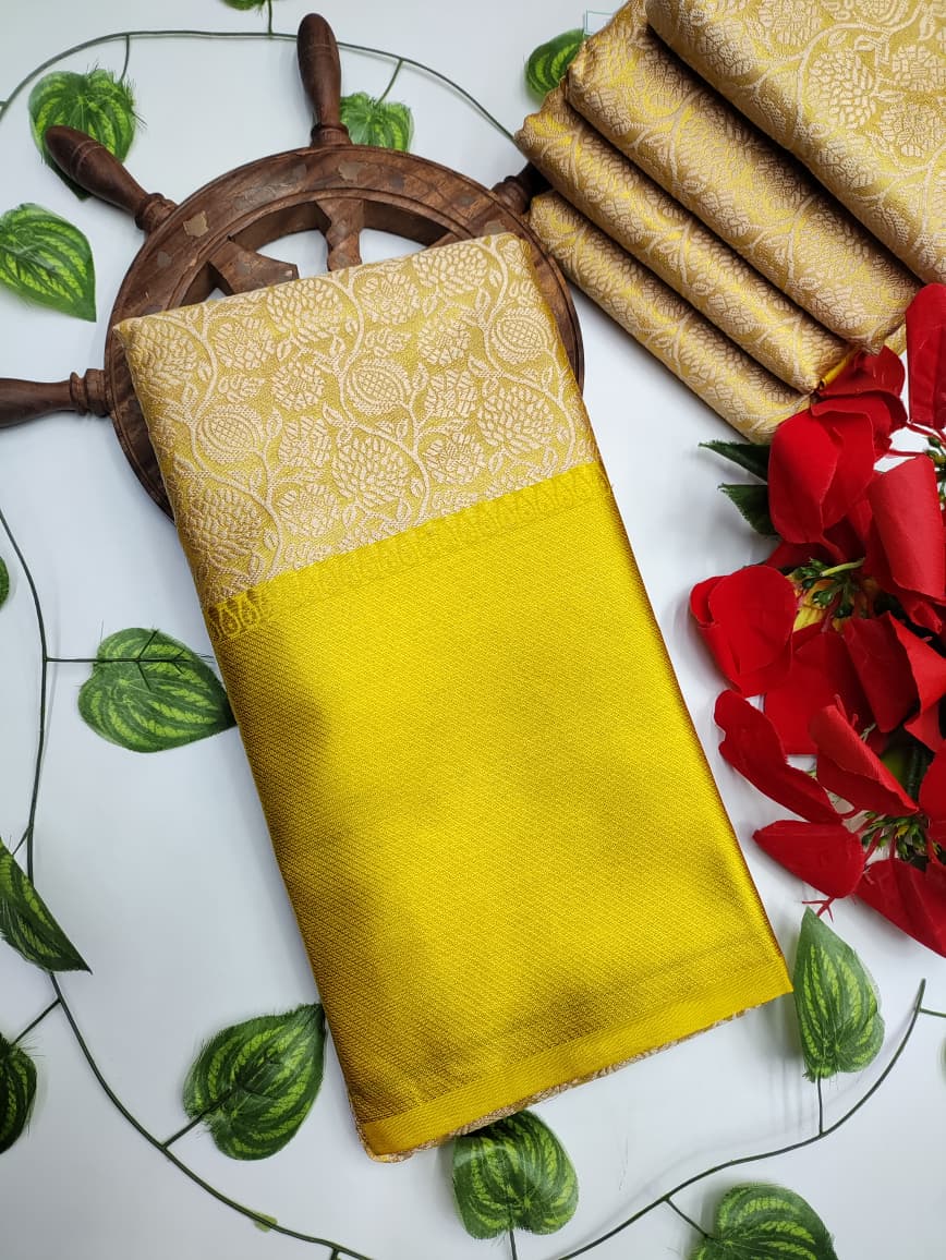 Nita Ambani Saree F06