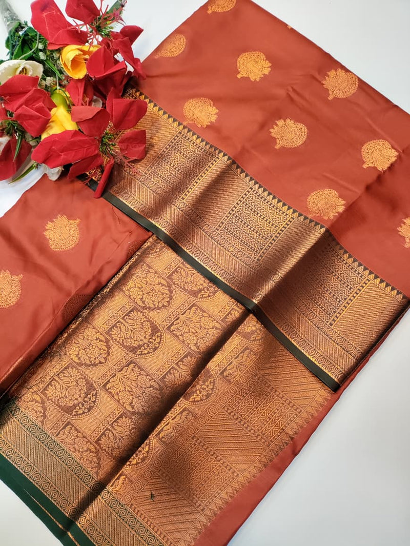 Rust Orange Saree RG54