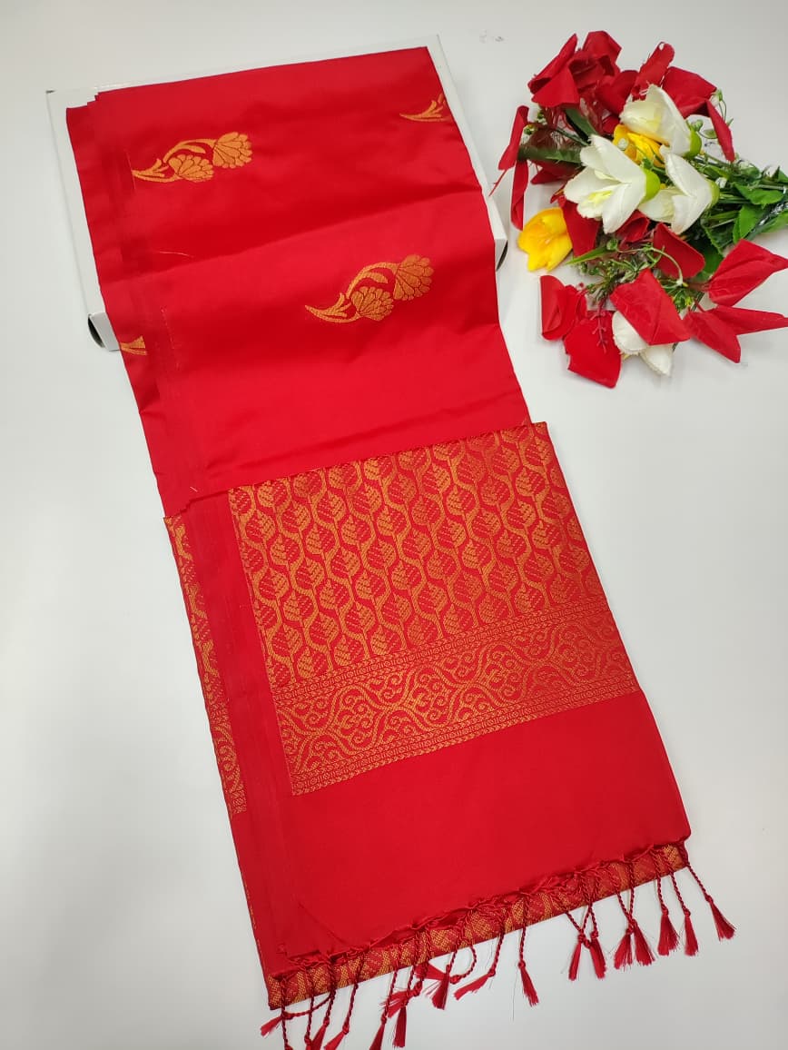 Dharmavaram Soft DMS25