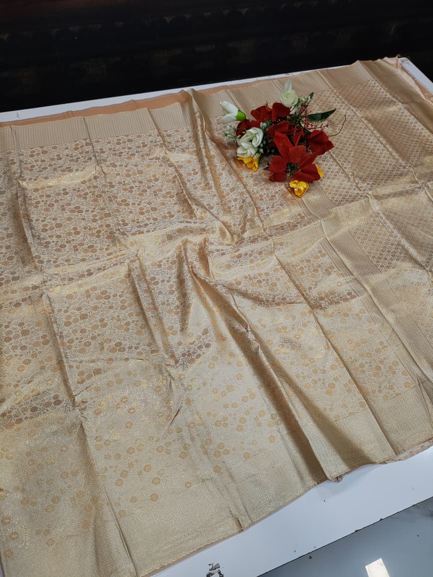 Nangai Saree N24