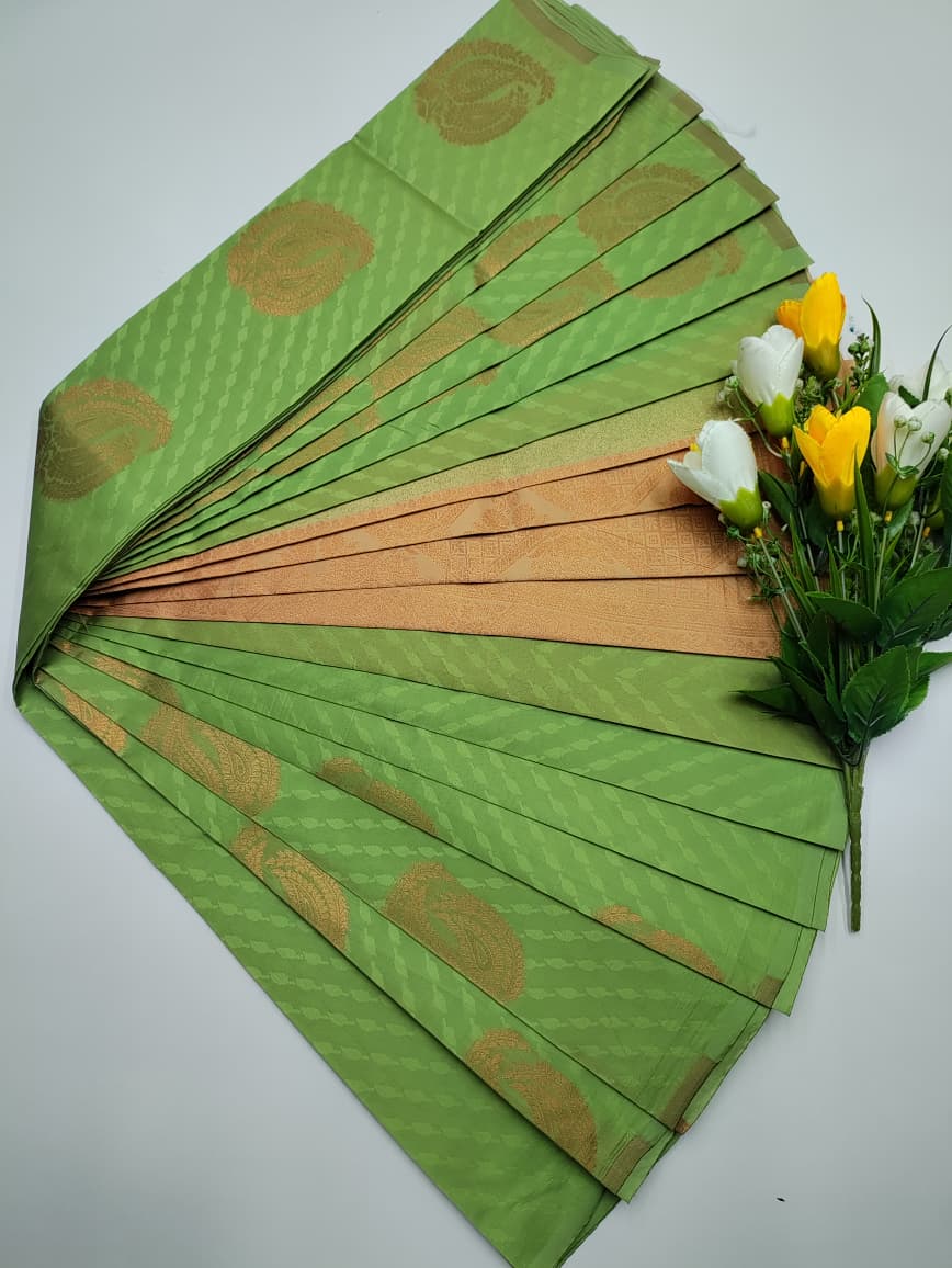 Mini Pavishna Saree