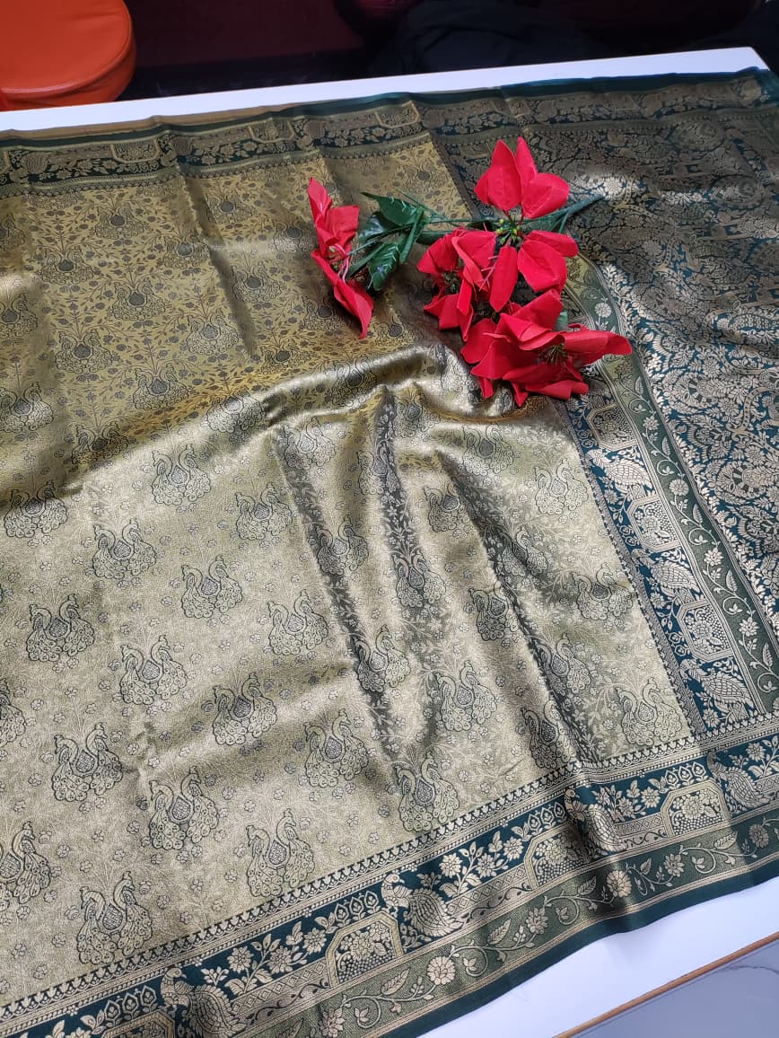 Kanji Tissue Saree KKK09