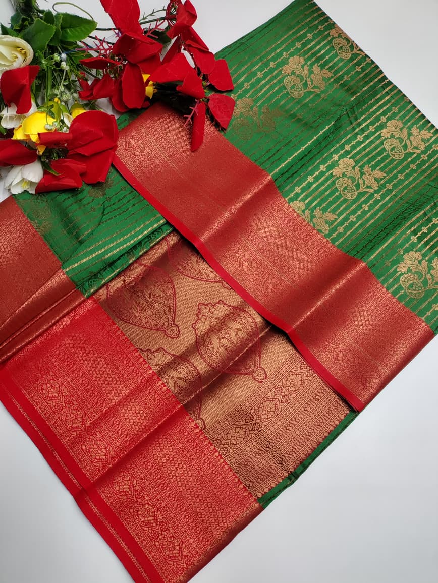 Anila Saree  AA47