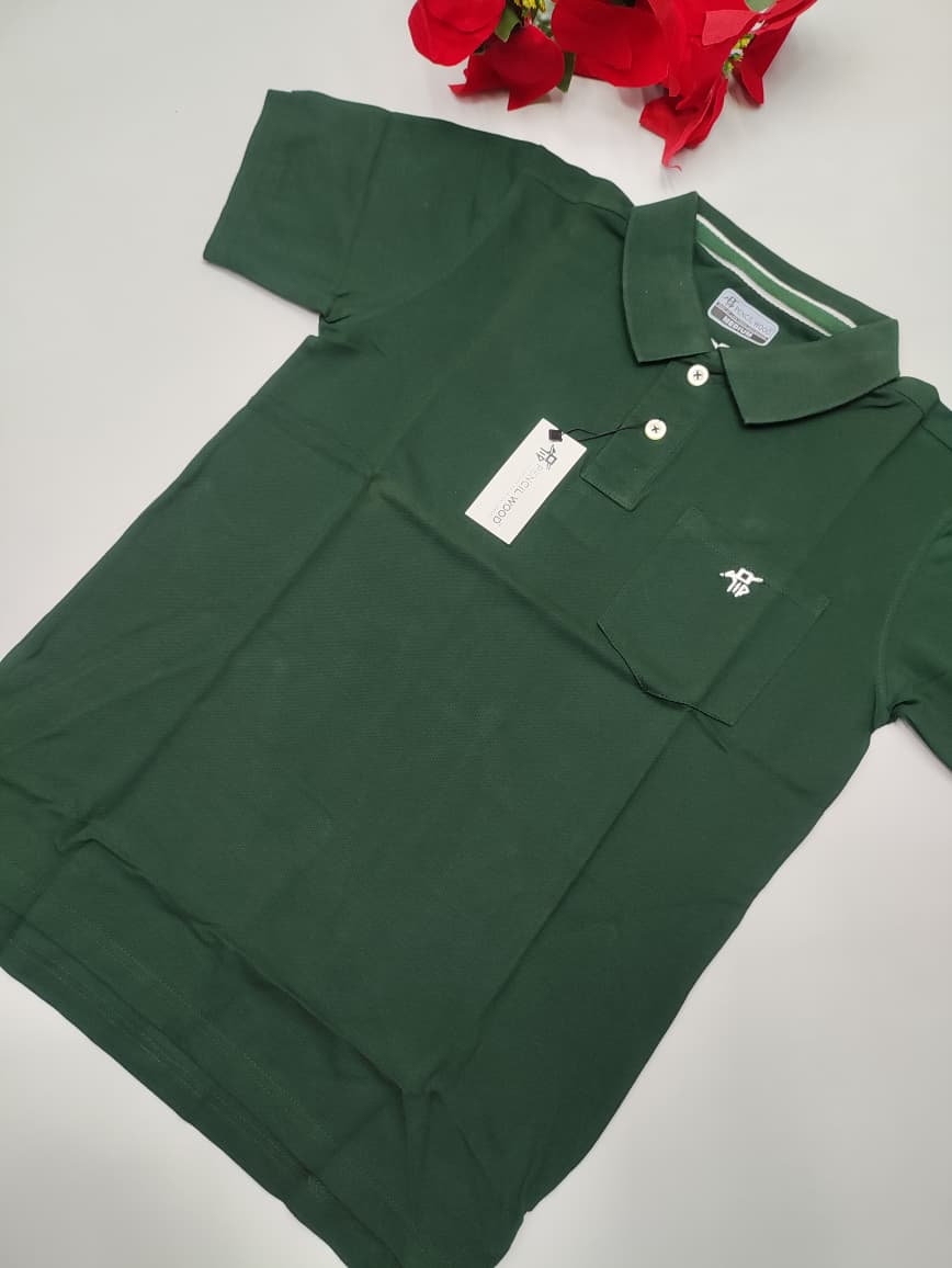 Stylish Cotton Polo T-Shirt for men ideal for festival wear